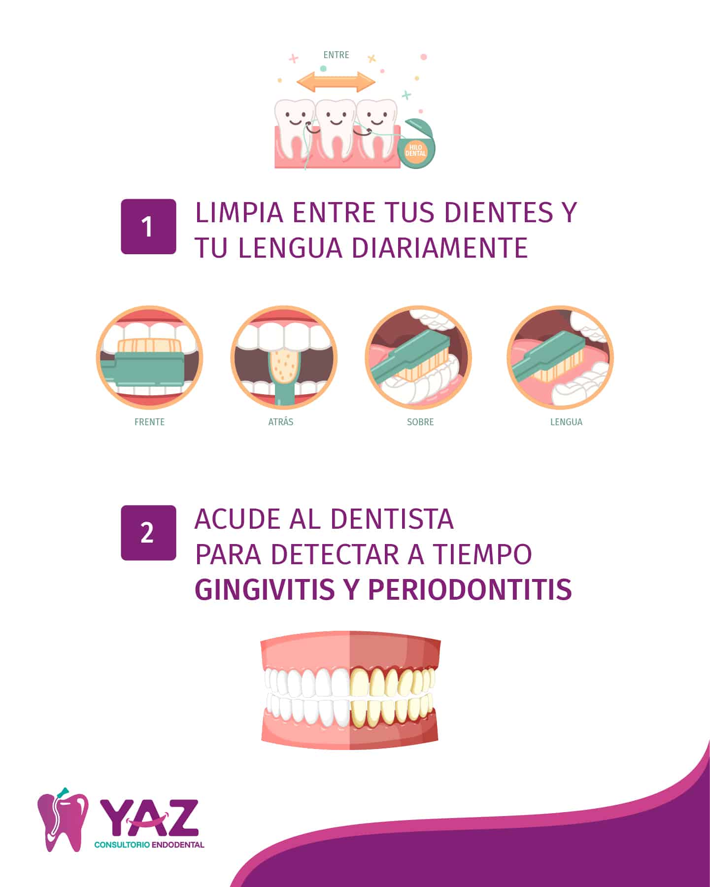 5 hábitos de salud bucal Yaz Endodental Cosultorio Colonia Estrella CMDX